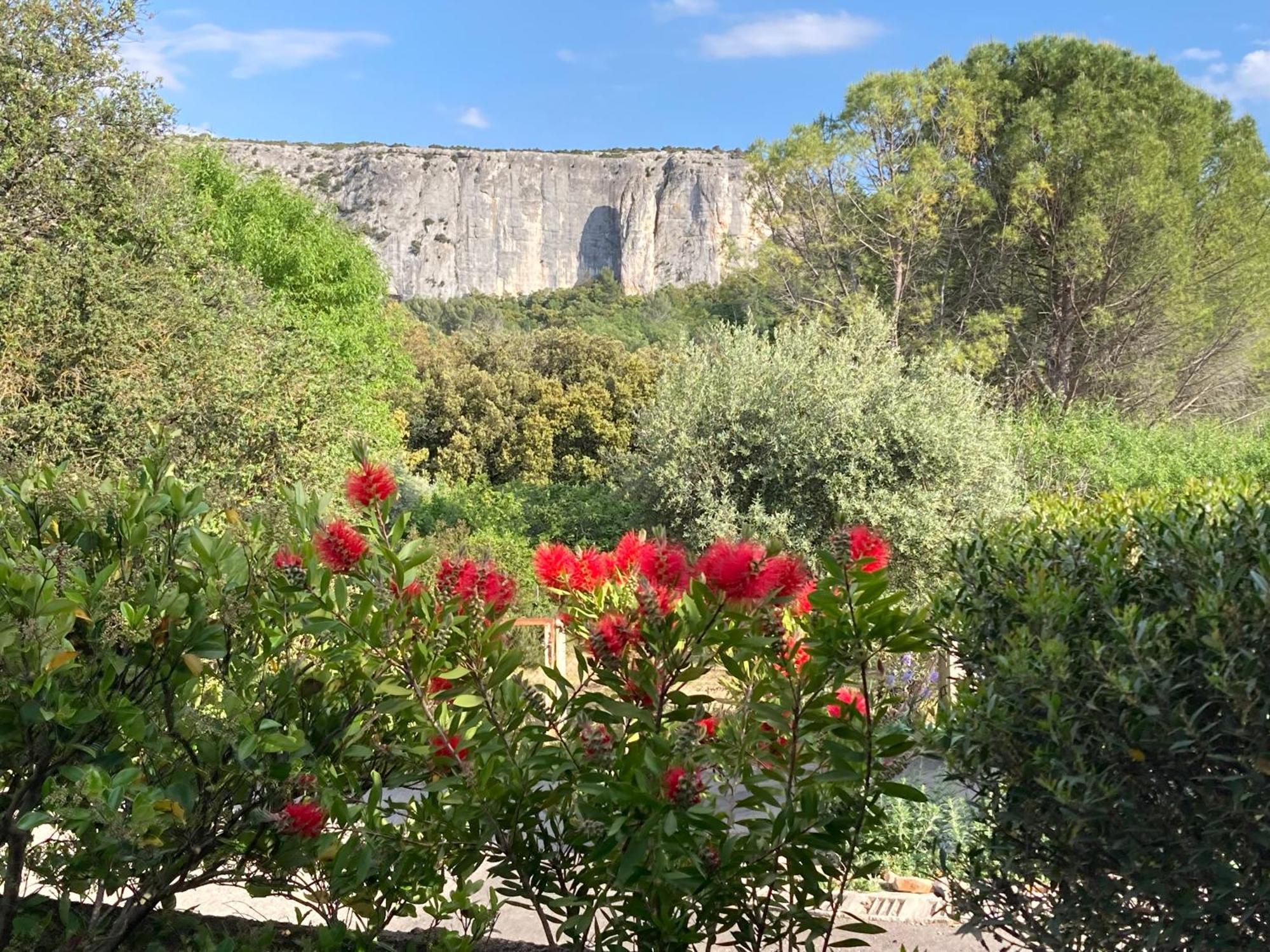 Les Cistes Villa Lioux Екстериор снимка